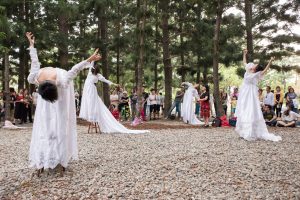 台南公園的身體地圖─百日行走(稻草人現代舞蹈團提供/攝影陳長志)
